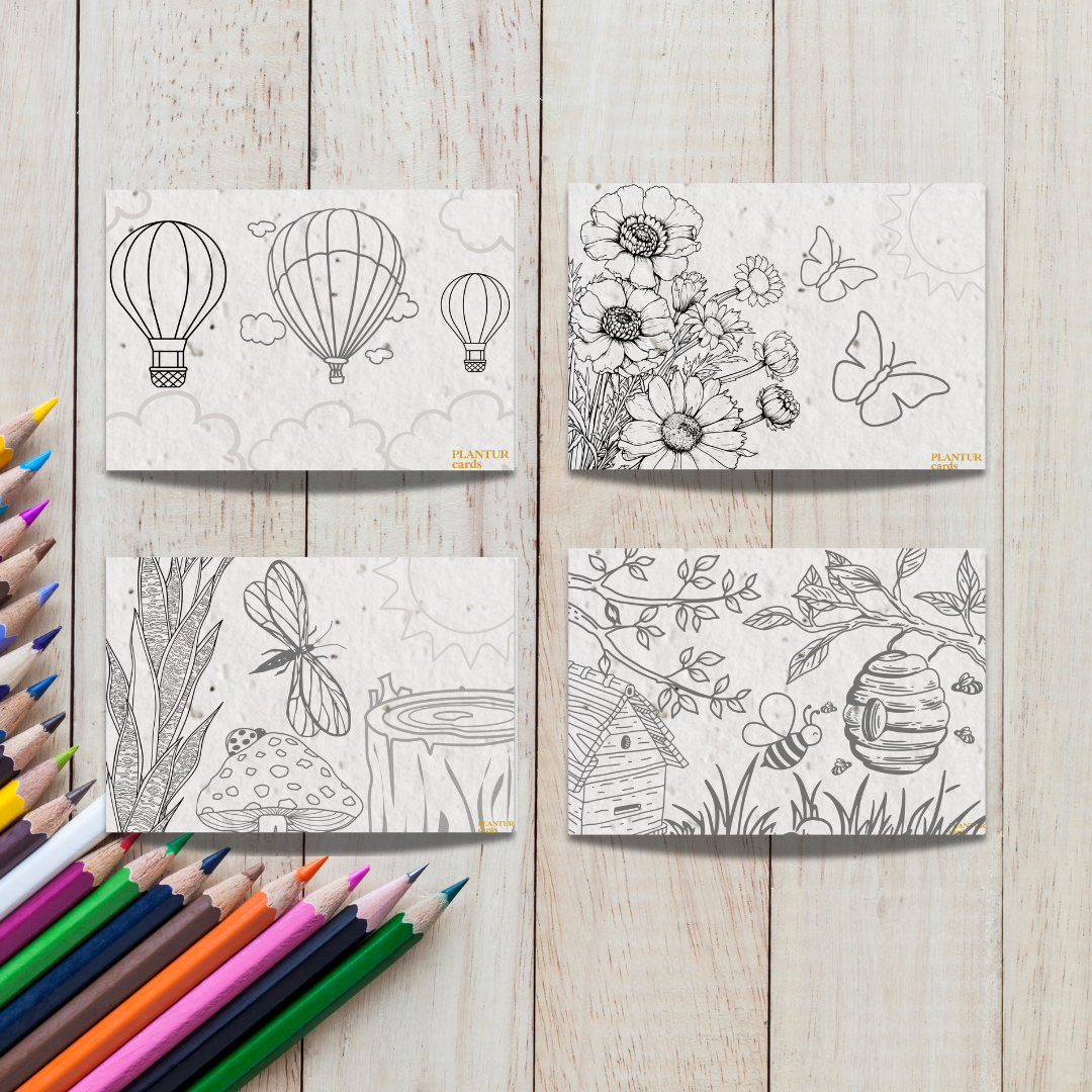 4 Pack - Seed Paper Coloring Sheets - 12.99